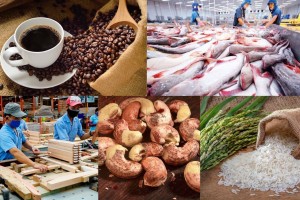 Xuất khẩu vào EU: Doanh nghiệp cần chủ động trước thay đổi về dư lượng