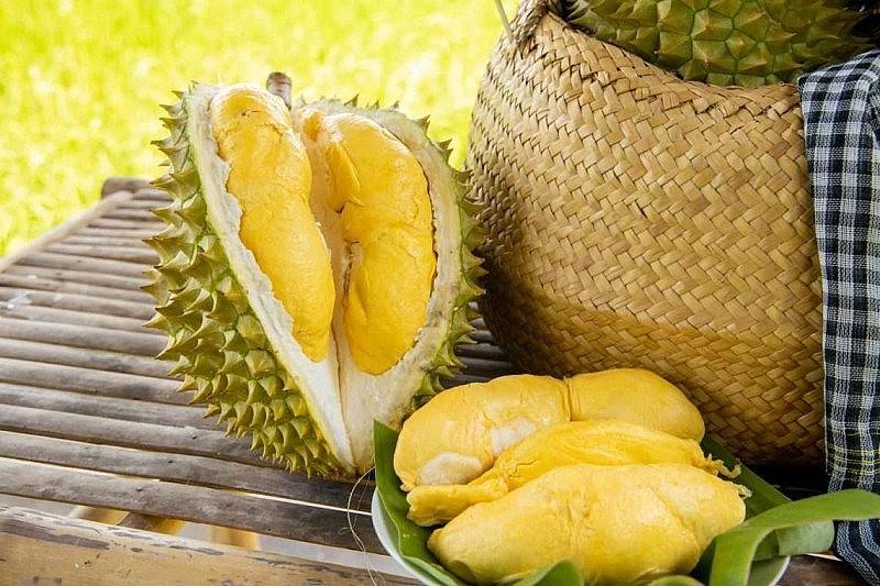 Xuất khẩu vào EU: Doanh nghiệp cần chủ động trước thay đổi về dư lượng