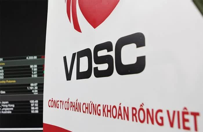 Chứng khoán Rồng Việt (VDSC) bị phạt nặng, buộc dừng cung cấp dịch vụ quản lý tài sản bảo đảm đối với cổ phần thế chấp của khách hàng