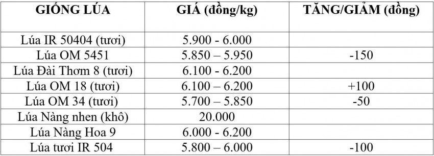 giá lúa gạo