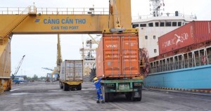 Xuất khẩu Cần Thơ tăng 13,4% trong 8 tháng đầu năm