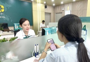 Tín dụng tăng 10,08%, doanh nghiệp Đồng Nai đang hấp thụ vốn ra sao