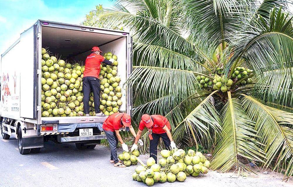 27.349 ha vùng trồng Vĩnh Long đáp ứng chuẩn xuất khẩu