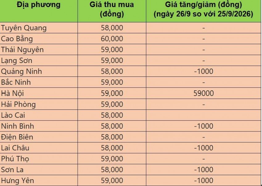 giá heo hơi