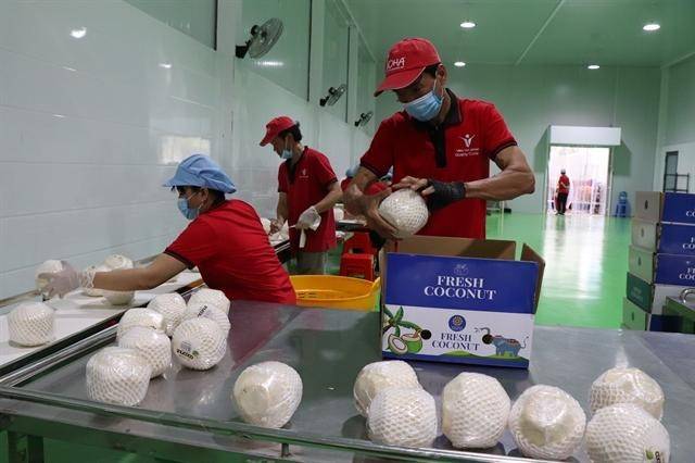 Với ngành dừa, diện tích được cấp mã số vùng trồng đã vượt 21.772 ha, trong khi diện tích dừa hữu cơ được chứng nhận đạt hơn 30.708 ha. 