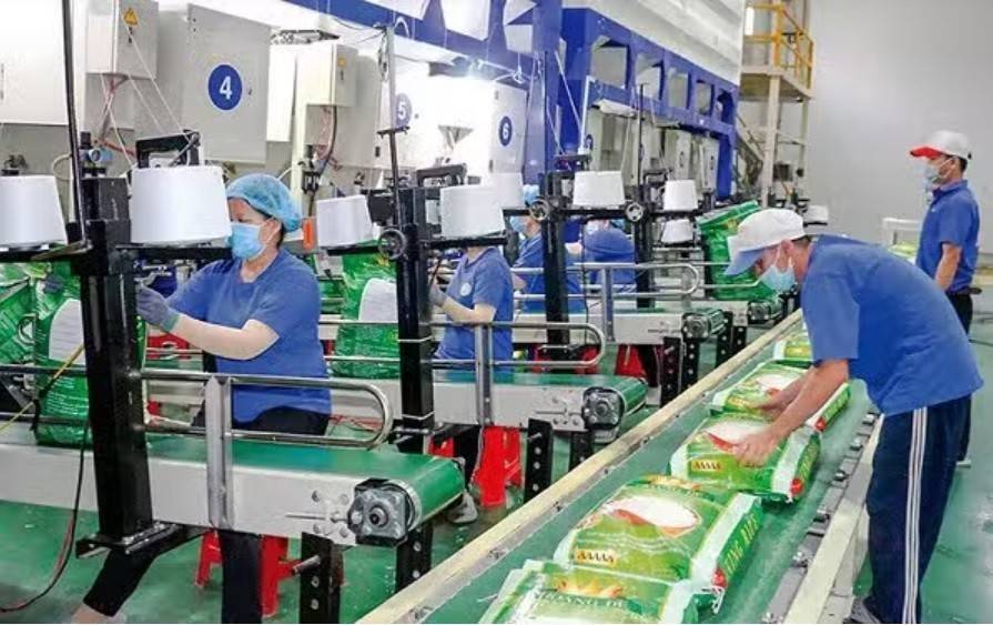 Xuất khẩu gạo từ 1/10 nhẹ gánh điều kiện, giảm tần suất báo cáo