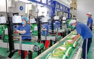 Xuất khẩu gạo từ 1/10 nhẹ gánh điều kiện, giảm tần suất báo cáo