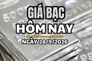 Giá bạc hôm nay 28/9 /2026: Giá bạc thế giới thế giới giảm, trong nước đồng loạt đi xuống