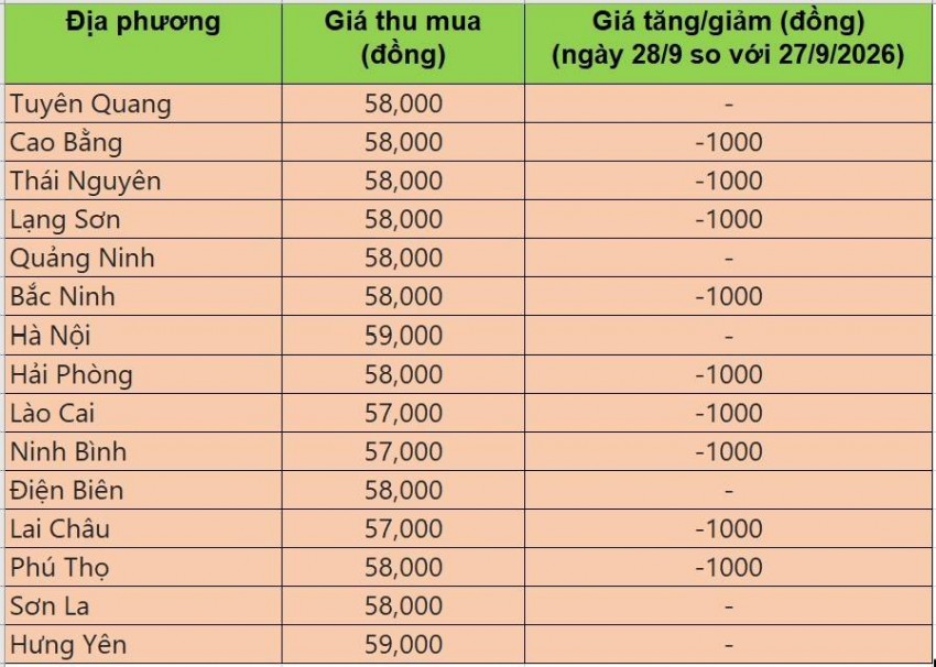 giá heo hơi