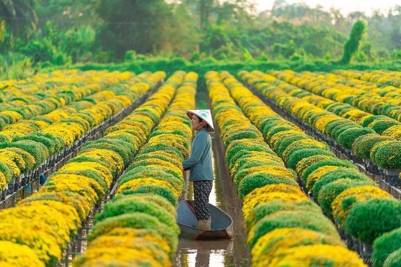 Đồng Tháp có thêm lực kéo nào cho chặng cuối năm?