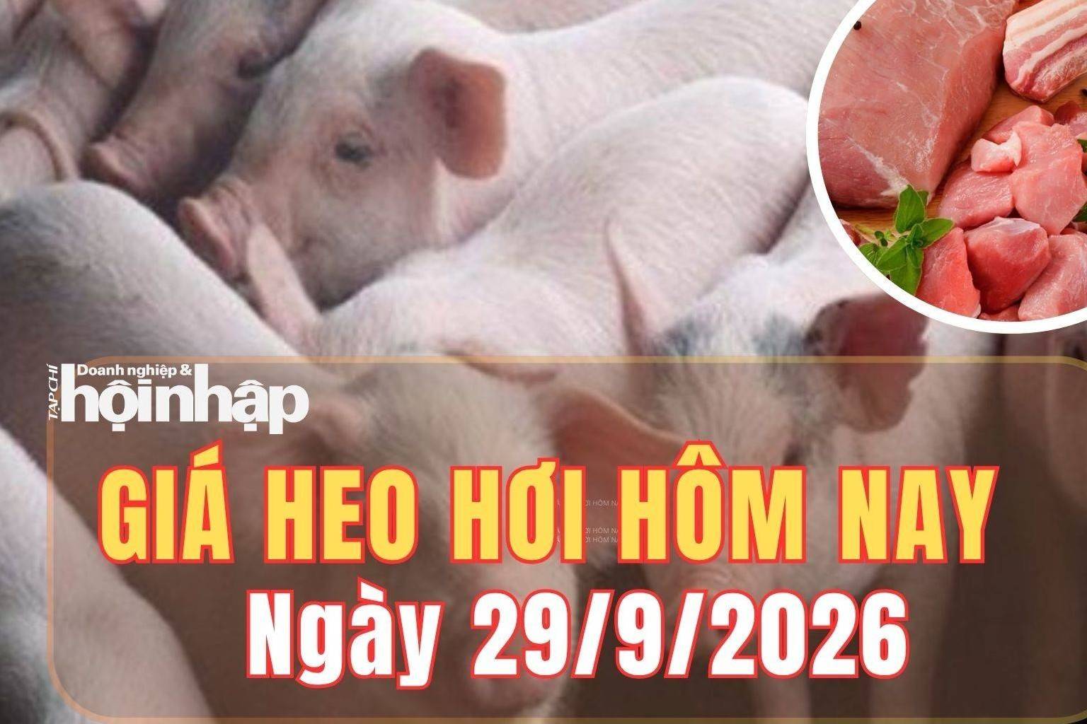 Giá heo hơi hôm nay 29/9 /2026: Nhiều địa phương đồng loạt giảm, thị trường về 56.000 - 58.000 đồng/kg