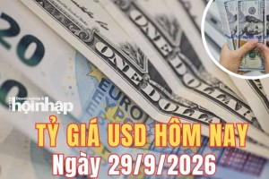 Tỷ giá USD hôm nay 29/9/2026: Đồng USD thế giới tăng nhẹ