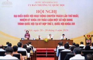 Bài 19: Miễn thuế 3 năm cho DNNVV: Tính từ ngày đăng ký hay khi có lãi?
