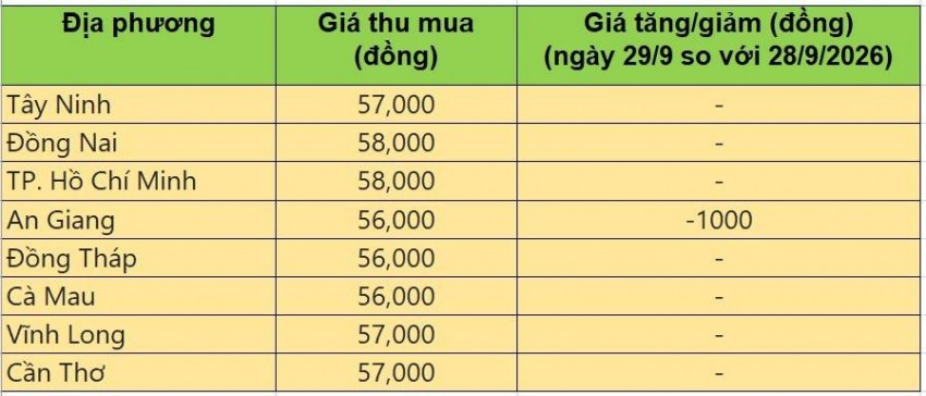 giá heo hơi
