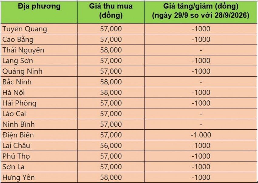 giá heo hơi