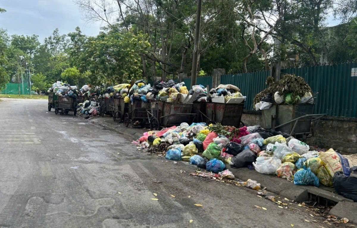 Thanh Hóa: Triển khai dự án Nhà máy Điện rác Nghi Sơn gần 1.500 tỷ đồng
