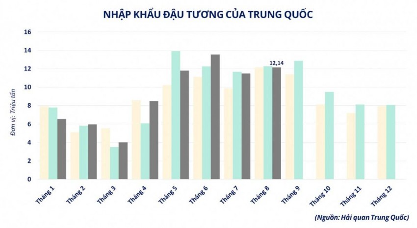 Giá đậu tương lao dốc vì thuế quan Mỹ - Trung