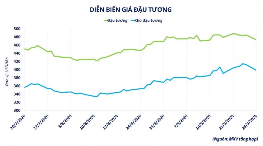 Giá đậu tương lao dốc vì thuế quan Mỹ - Trung