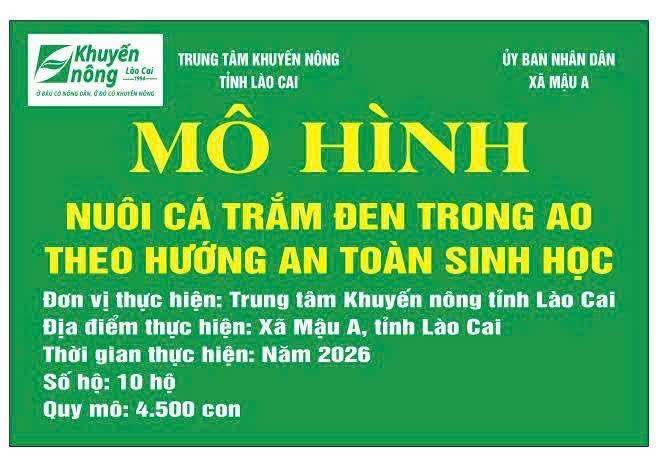Lào Cai: Nuôi cá trắm đen an toàn sinh học, mở hướng nâng giá trị kinh tế thủy sản tại Mậu A