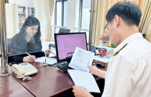 Phú Thọ: 844 người nộp thuế nợ gần 68 tỷ đồng, doanh nghiệp chiếm gần 90%