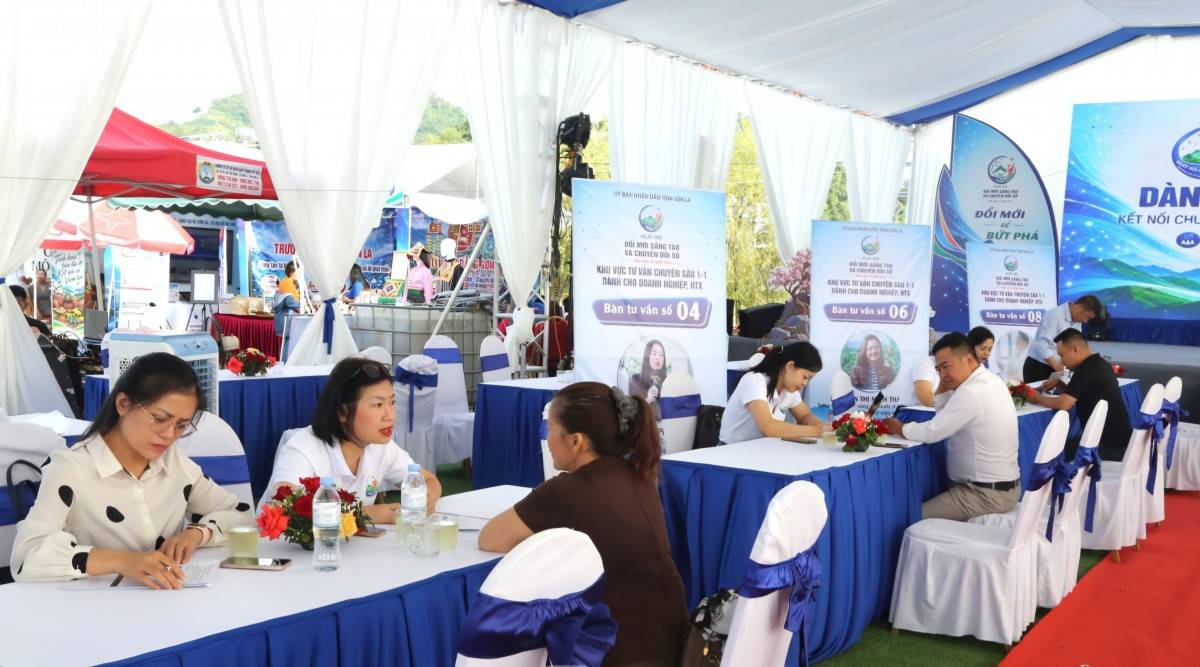 Sơn La: Hơn 50 lượt doanh nghiệp được tư vấn chuyển đổi số 1-1
