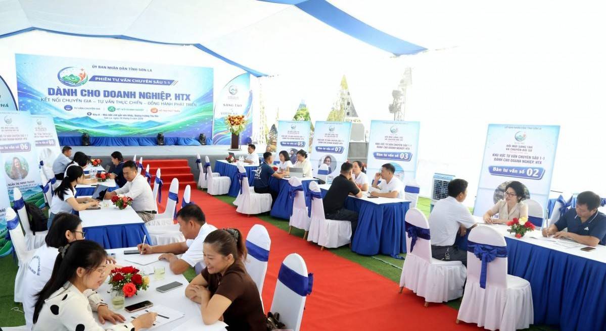 Sơn La: Hơn 50 lượt doanh nghiệp được tư vấn chuyển đổi số 1-1