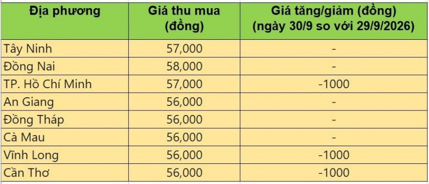 giá heo hơi