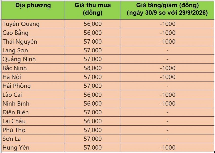 giá heo hơi