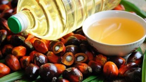 Bất chấp lực đỡ từ chính sách thuế, giá dầu cọ thế giới chưa thể dứt đà giảm