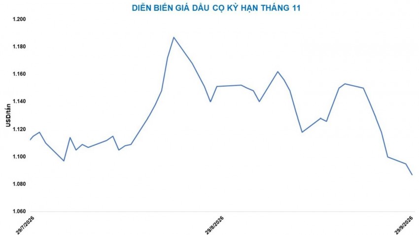 Bất chấp lực đỡ từ chính sách thuế, giá dầu cọ thế giới chưa thể dứt đà giảm