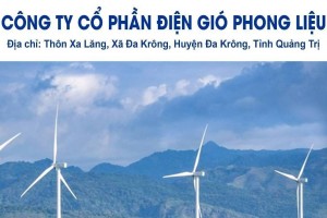 Điện gió Phong Liệu bị xử phạt vi phạm hành chính về thuế