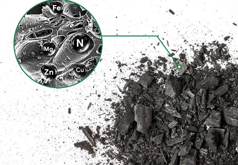Biochar và cuộc chơi mới của thị trường carbon phân tán