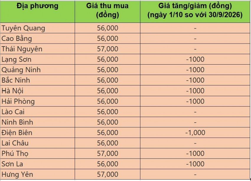 giá heo hơi
