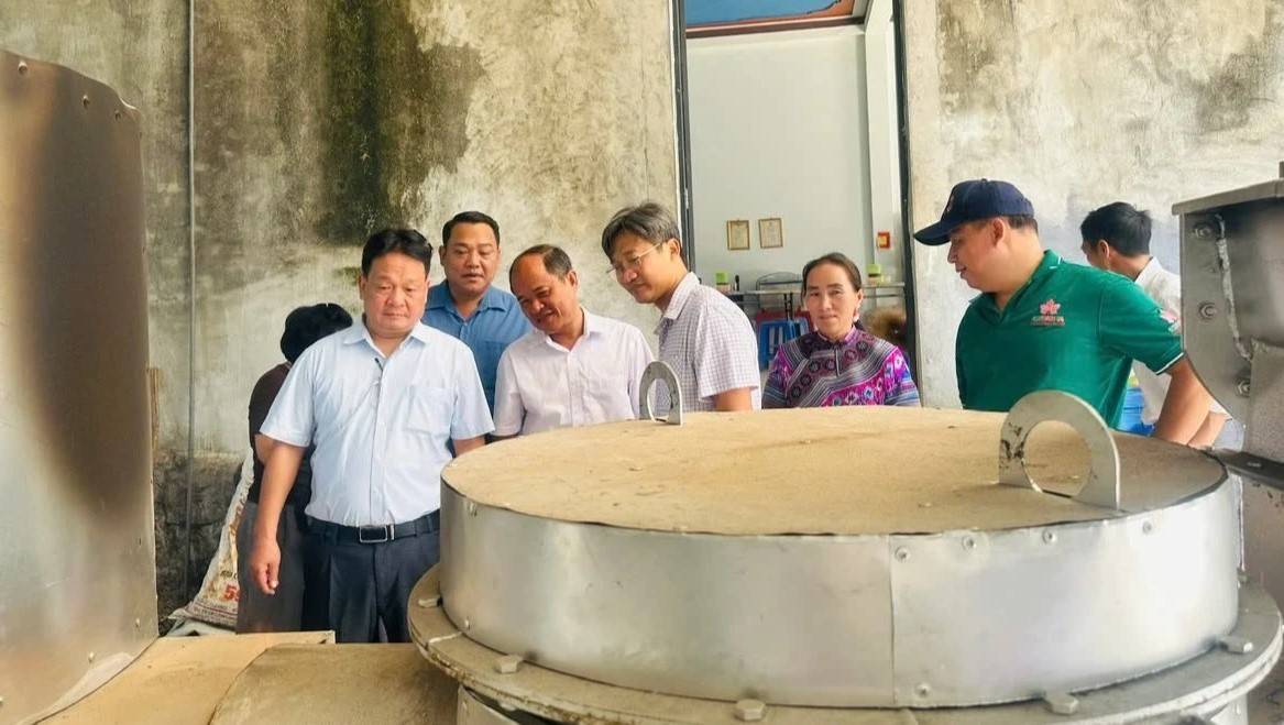 đoàn công tác do ông Lê Nguyên Đạt - Vụ Khoa học và Công nghệ, Bộ Nông nghiệp và Môi trường làm trưởng đoàn đã tổ chức nghiệm thu đề tài nghiên cứu “Công nghệ và thiết bị sơ chế, chế biến sa nhân, thảo quả” tại xã Sín Chéng.