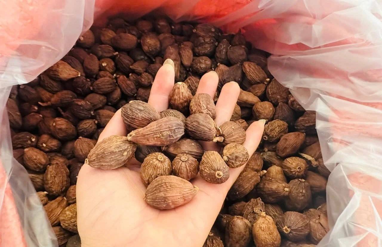 Sản phẩm thảo quả sau chế biến.