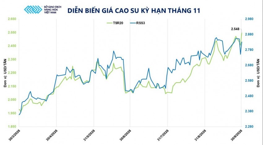 Giá cao su TSR 20 vọt lên đỉnh 13 năm, đà tăng chưa dừng lại