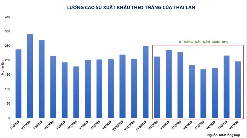 Giá cao su TSR 20 vọt lên đỉnh 13 năm, đà tăng chưa dừng lại