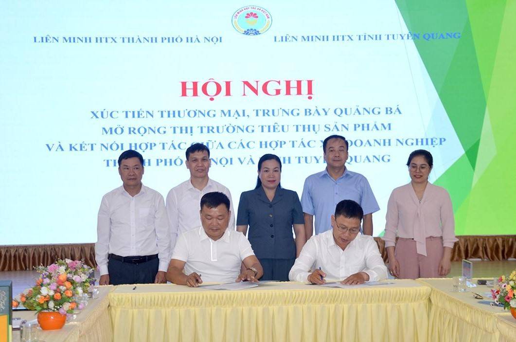 Các hợp tác xã Tuyên Quang - Hà Nội ký kết tiêu thụ sản phẩm nông sản.