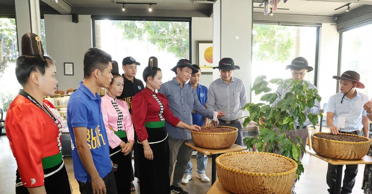 Phúc Sinh Sơn La sẵn sàng đón Lễ hội Cà phê lần thứ hai