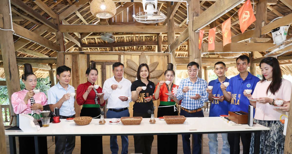 Phúc Sinh Sơn La sẵn sàng đón Lễ hội Cà phê lần thứ hai