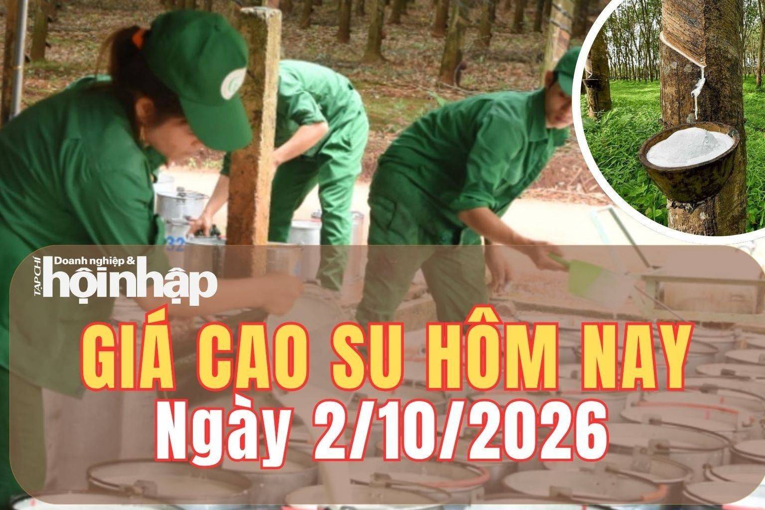 Giá cao su hôm nay 2/10/2026: Giá cao su RSS3 trên sàn TOCOM trái chiều