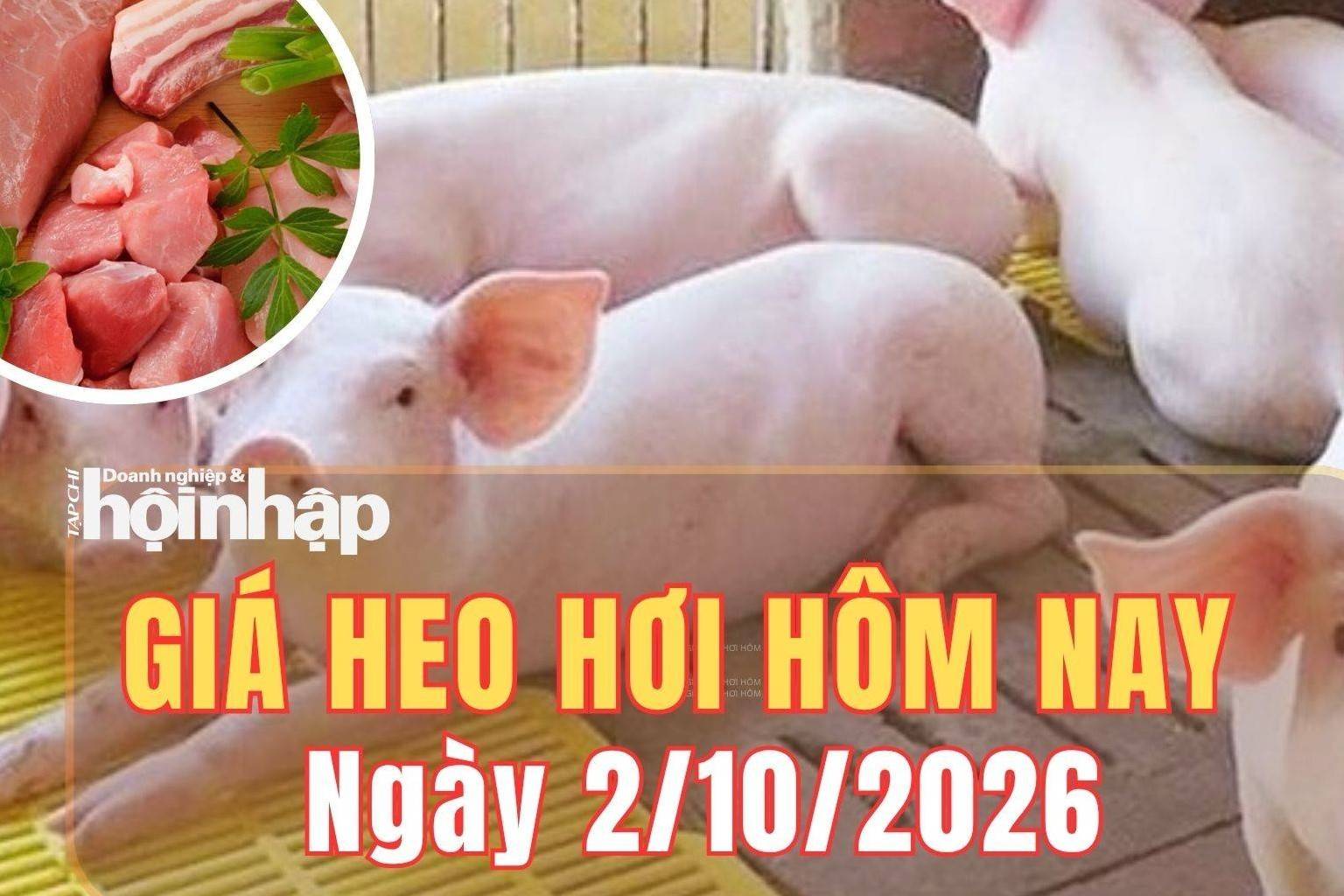 Giá heo hơi hôm nay 2/10 2026: Đà giảm lan rộng, thị trường lùi về 55.000 – 57.000 đồng/kg