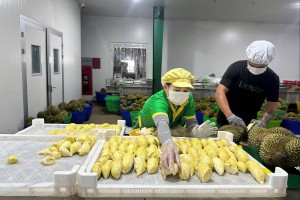 Nông sản Việt trước những thay đổi mới của hàng rào SPS
