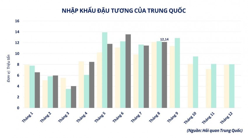 Đậu tương chịu sức ép kép, giá khô đậu tại Việt Nam giảm mạnh