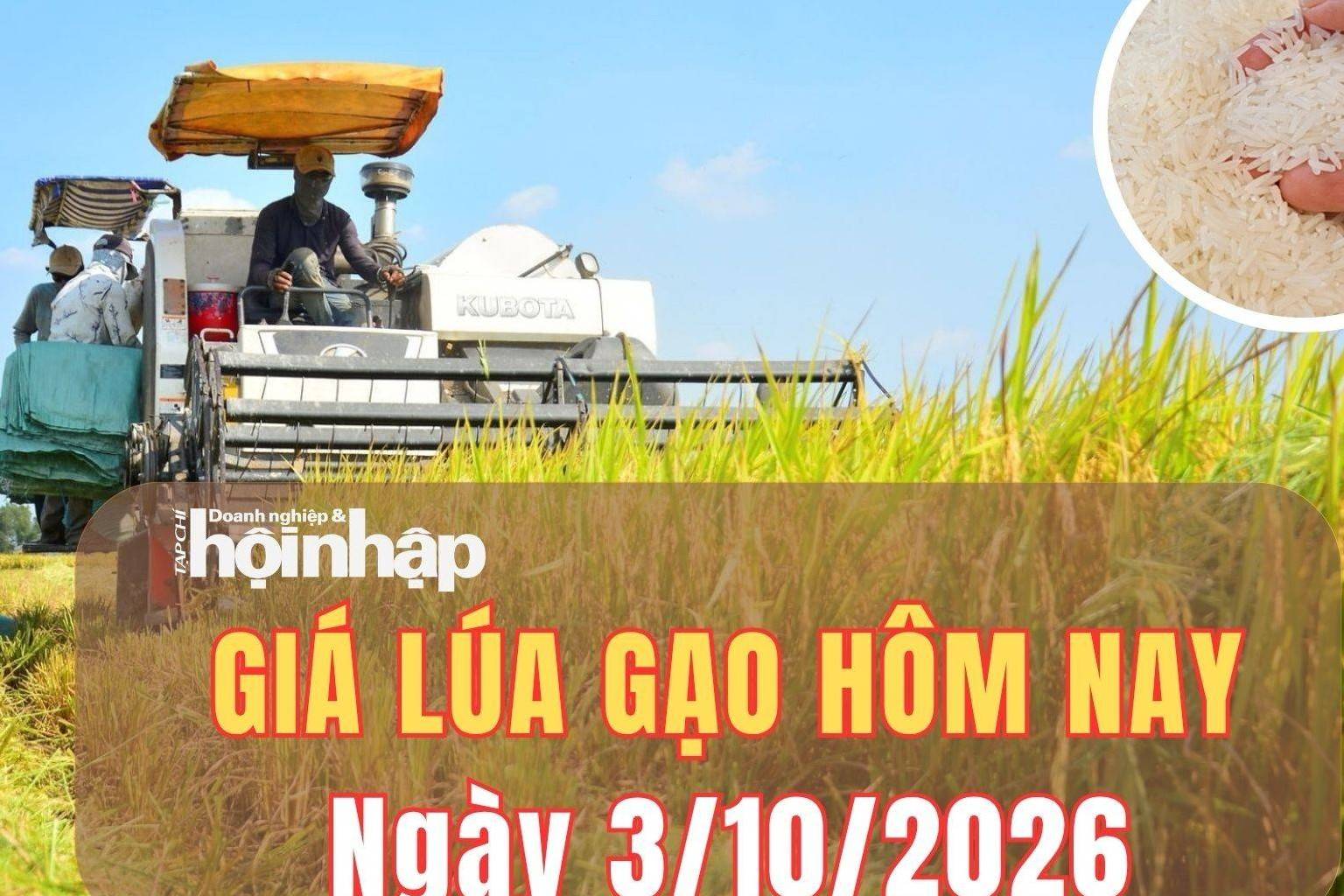Giá lúa gạo hôm nay 3/10/2026: Giá lúa biến động trái chiều, phụ phẩm tăng nhẹ