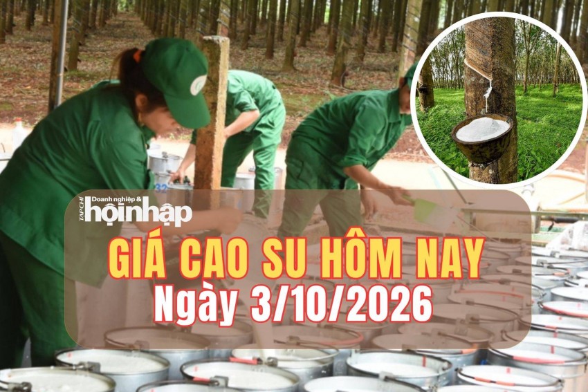 Giá cao su hôm nay 3/10/2026: Giá cao su RSS3 trên sàn TOCOM giảm