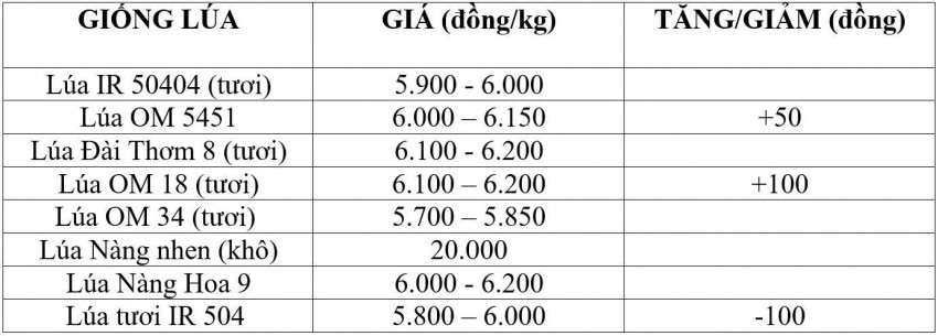 giá lúa gạo