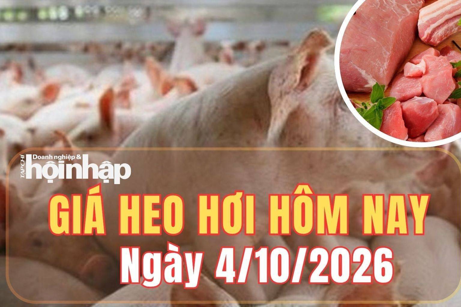 Giá heo hơi hôm nay 4/10 2026: Giá heo hơi khép tuần giảm sâu