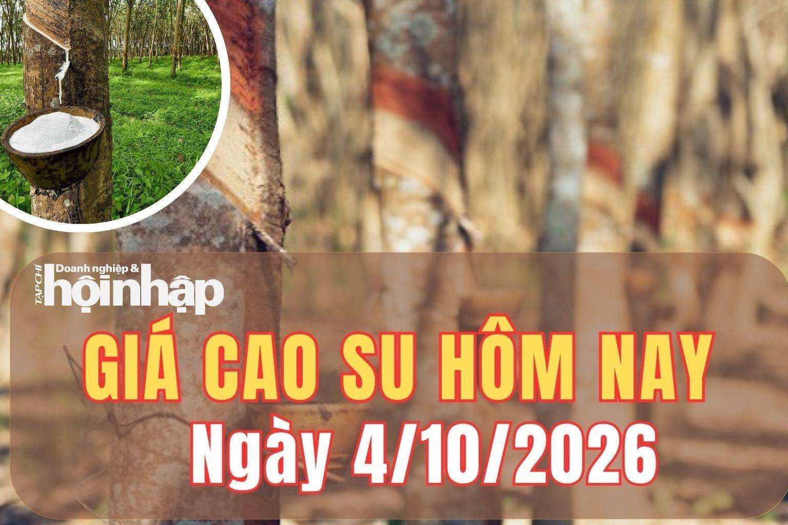 Giá cao su hôm nay 4/10/2026: Giá cao su thế giới nghiêng về giảm, trong nước ổn định