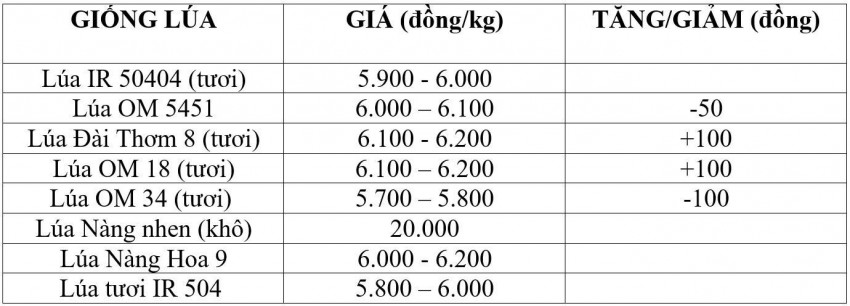 giá lúa gạo